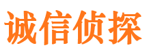 郏县外遇出轨调查取证